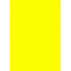 Prijskaart fluor geel 4x6cm 100st Td21330406